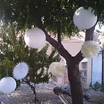 Gialos * سيمي