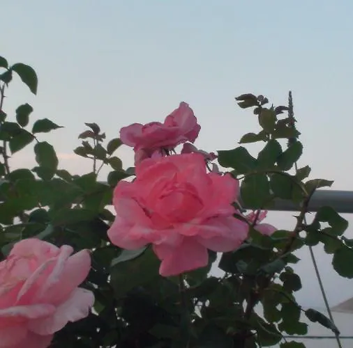 Appartement Gialos Sými